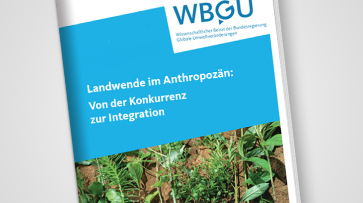 Titelfoto WBGU Report Landnutzung. Verschieden bewurzelte Setzlinge.